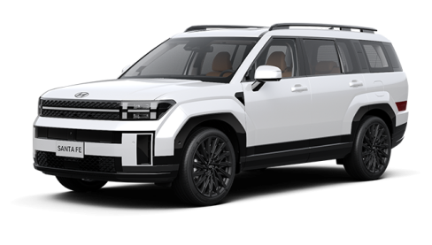 <p style="text-align: center;"><strong>Santafe</strong></p>